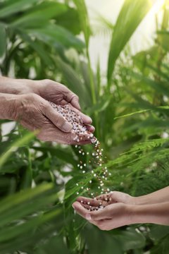 Comunicados Empresas