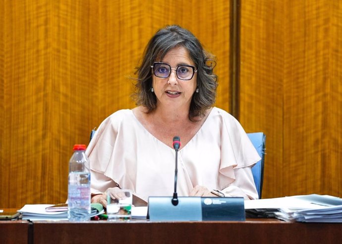 La consejera de Salud y Consumo de la Junta de Andalucía, Catalina García, en la comisión parlamentaria del 22 de mayo de 2024.