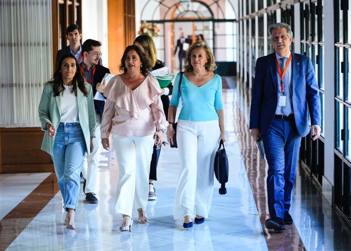 La consejera de Salud y Consumo, Catalina García, a su llegada a la comisión parlamentaria del 22 de mayo de 2024.