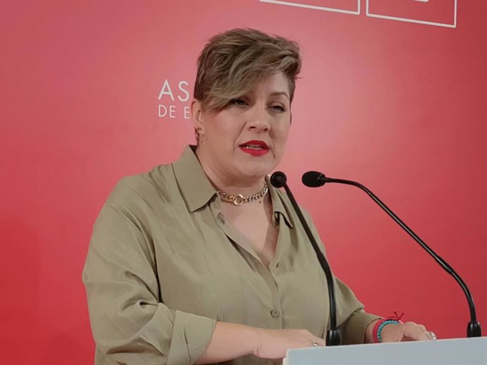 La portavoz de Igualdad del Grupo Parlamentario Socialista, Soraya Vega, en una rueda de prensa.