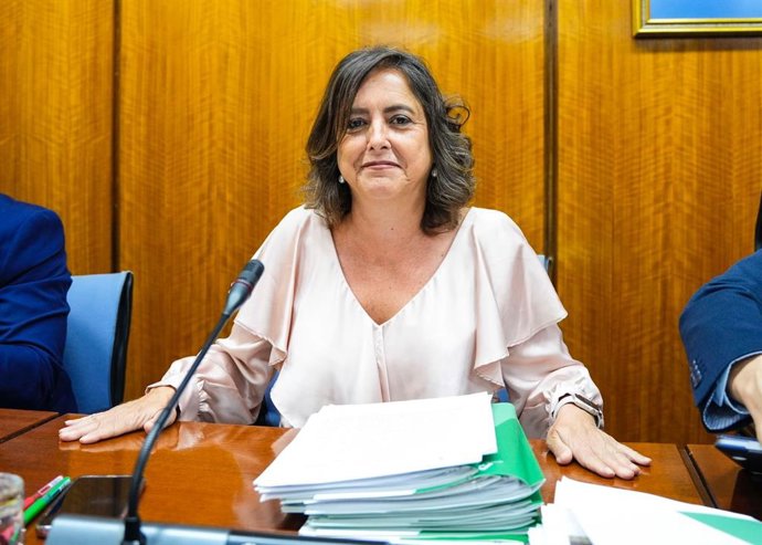 La consejera de Salud y Consumo de la Junta de Andalucía, Catalina García, en la comisión parlamentaria del 22 de mayo de 2024.