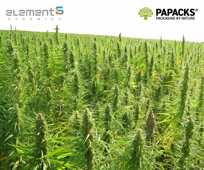 element6 Dynamics and PAPACKS Announce Partnership Intentions / Largest industrial hemp deal in U.S. history is a milestone for decarbonization efforts