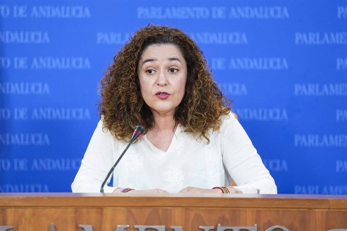 La portavoz del Grupo Por Andalucía, Inmaculada Nieto, este miércoles en rueda de prensa en el Parlamento.