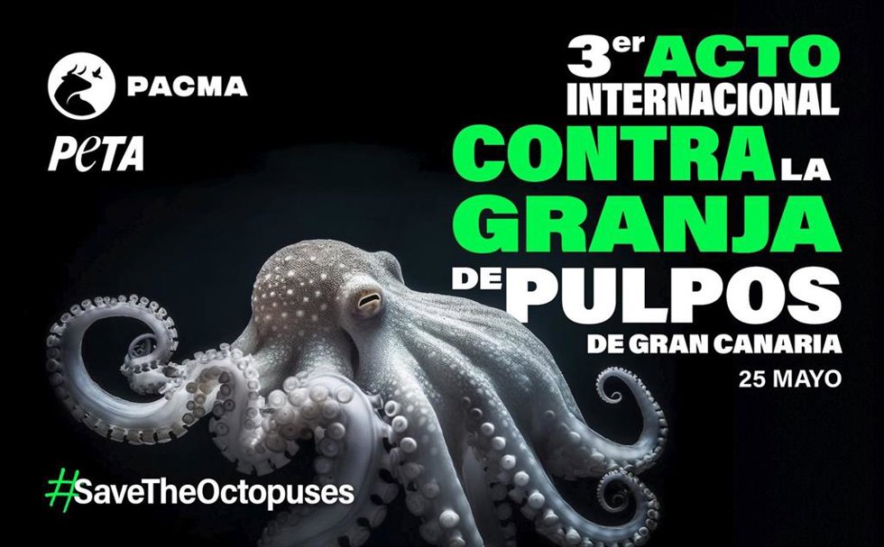 Convocatoria de PACMA contra la granja de pulpos en Las Palmas de Gran Canaria