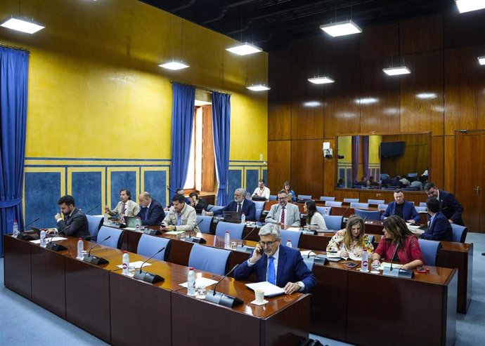 Diputados en la comisión de Presidencia, Interior, Diálogo Social y Simplificación Administrativa del Parlamento andaluz.