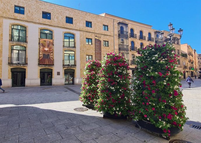 Torres florales en la Plaza del Liceo de Salamanca