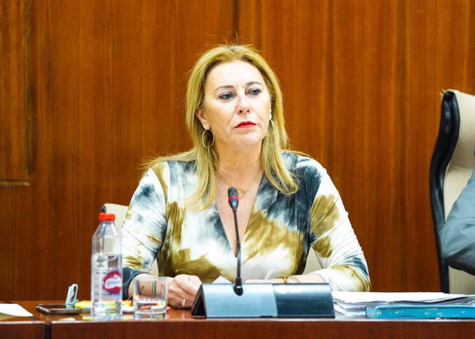 La consejera de Economía, Hacienda y Fondos Europeos, Carolina España, en comisión parlamentaria.