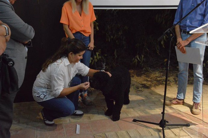 El Ayuntamiento de Almonte (Huelva) ha puesto en marcha la campaña 'Censo Genético Canino', creando un registro censal