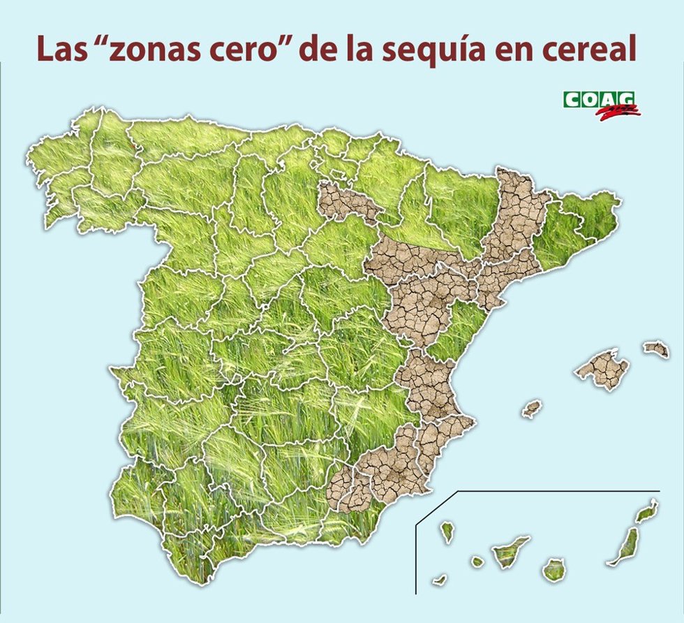 COAG-A advierte de "la cara y la cruz" de la cosecha de cereales en Andalucía por falta de agua en la zona más oriental