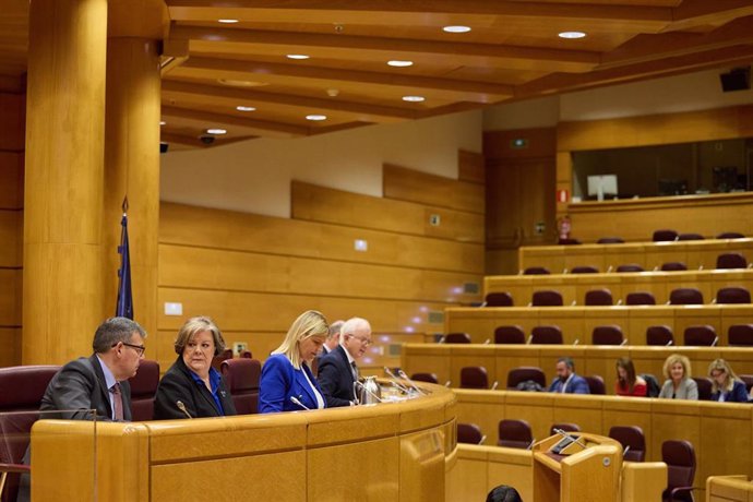 La presidenta del Tribunal de Cuentas, Enriqueta Chicano (2i), comparece en la Comisión de Investigación sobre los contratos públicos realizados durante la pandemia de covid-19, en el Senado, a 29 de abril de 2024, en Madrid (España). Chicano ha compareci