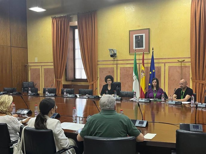 Imagen del encuentro que ha celebrado este viernes Adelante Andalucía para presentar a asociaciones y sindicatos su Proposición de Ley contra la Discriminación por la Menopausia.