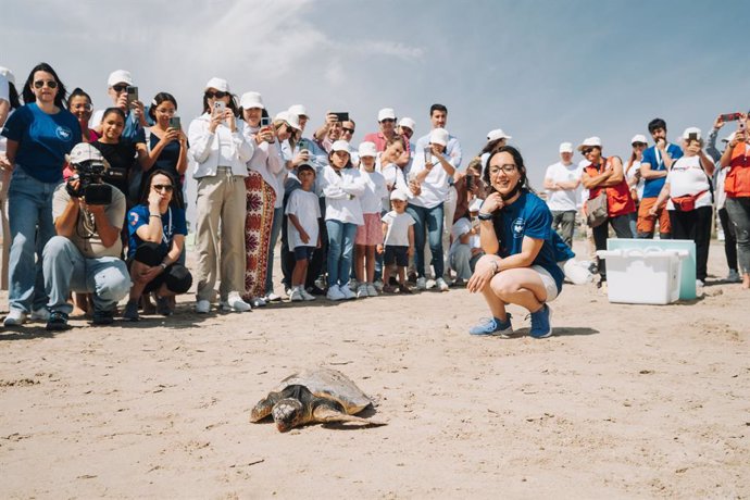 La Fundació Oceanogràfic, en col·laboració amb Cruz Roja Comunitat Valenciana (CV) i l'empresa AGRADOSun Care, han retornat al mar una tortuga recuperada en la localitat valenciana de Sagunt.