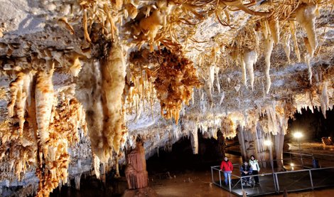 Comunicados Ocio y Deportes