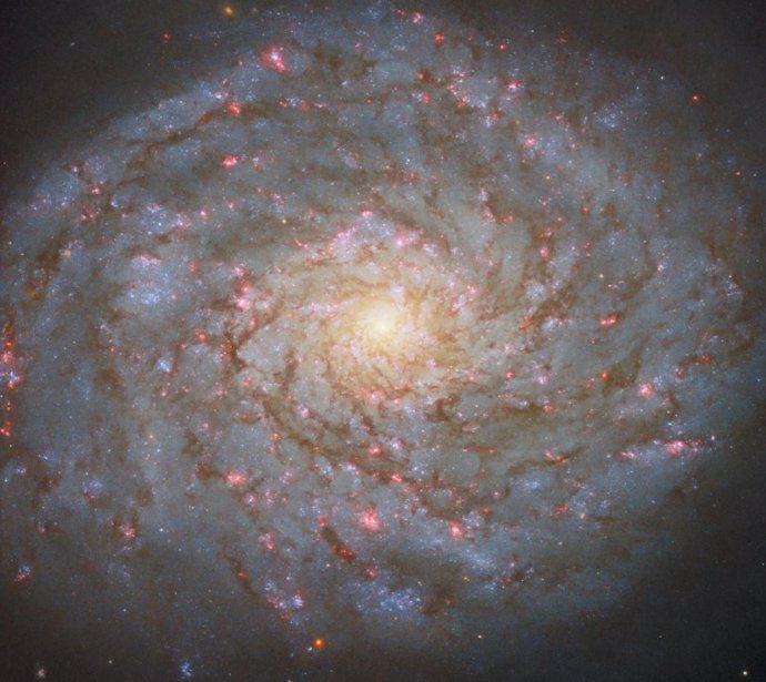 Galaxia NGC 4689
