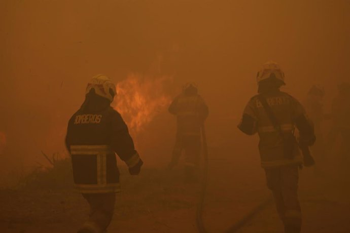 Archivo - Bomberos trabajan para extinguir el incendio en Viña del Mar, Chile