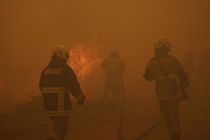 Archivo - VINA DEL MAR, Feb. 6, 2024  -- Firefighters try to extinguish fire in Vina Del Mar, Chile, Feb. 3, 2024. Raging forest fires in central Chile's Valparaiso region have claimed at least 122 lives, the Chilean government said Monday.    Fires spark