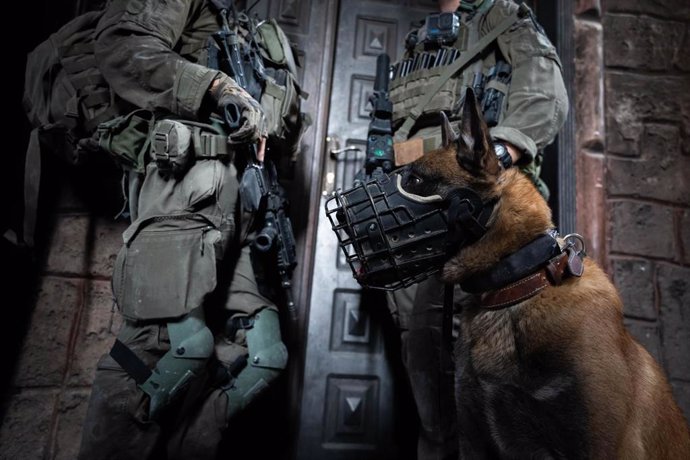 Militares israelíes con un perro en la Franja de Gaza