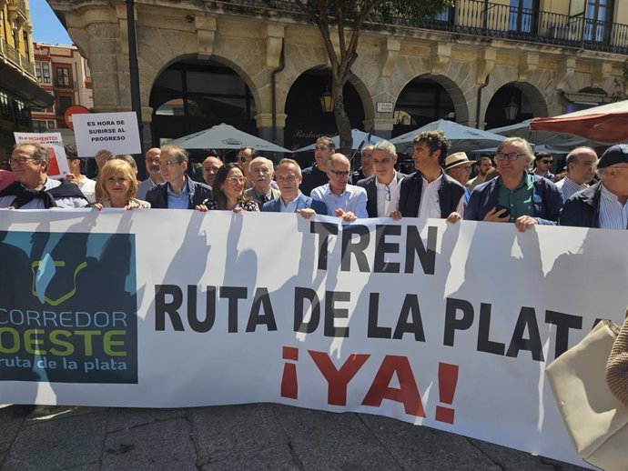 El consejero de Infraestructuras, Transporte y Vivienda, Manuel Martín Castizo, en la manifestación de este sábado en Zamora para pedir la recuperación del Tren Ruta de la Plata