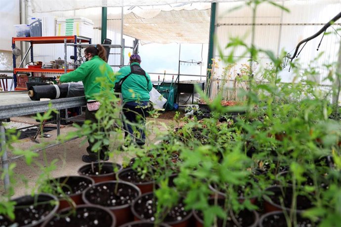 Archivo - Una imagen de archivo del Centro Agropecuario Provincial.