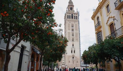 Parques y Jardines recomienda restringir los naranjos a reposiciones por su "excesiva presencia" en Sevilla