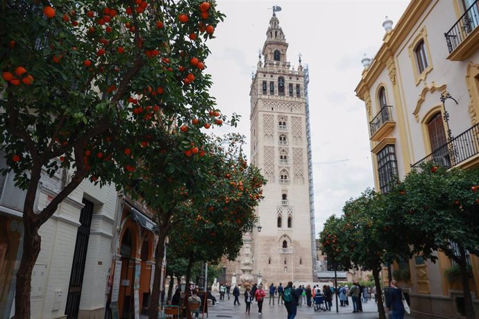 Archivo - Vista de la Giralda desde Mateos Gago, con naranjos alineados a ambos lados de la calle.