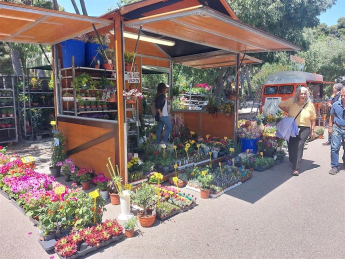 Mercado de las Flores en Zaragoza Florece 2024.