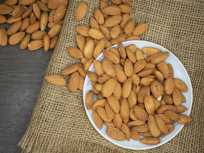 Archivo - Arxiu- Ametles