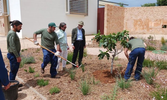 Endesa y Mallorca Live Festival plantan árboles en Casa Esment