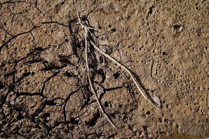 Archivo - Los restos del antiguo pueblo de Peñarubia han quedado al descubierto por la ausencia de agua en el embalse de Guadalteba a causa de la extrema sequía , a 3 de febrero de 2024 en Málaga, Andalucía, (España). 