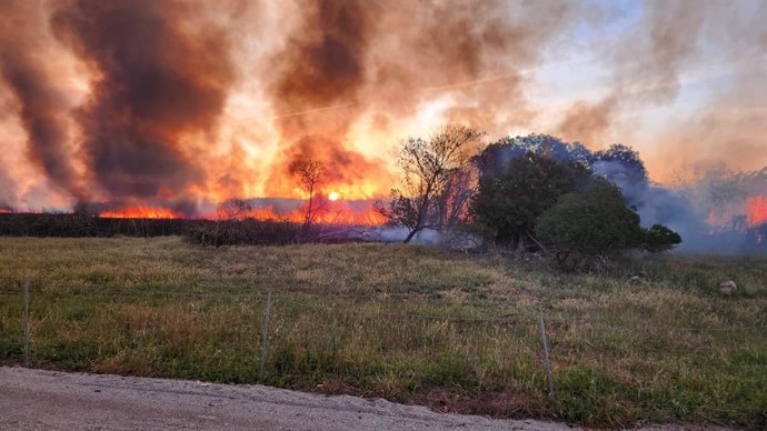 Incendio en S'Albufera.