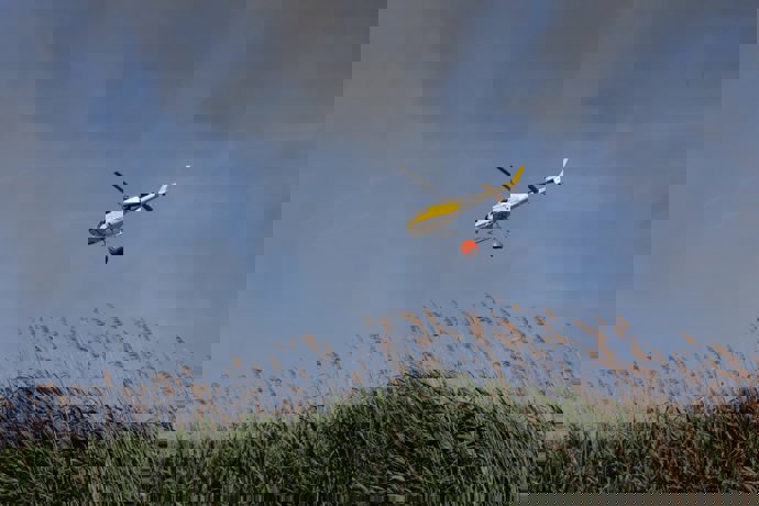 Medios de la Conselleria de Agricultura, 112 y Bomberos de Mallorca actúan sobre el terreno 