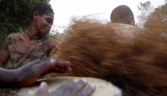 Los cazadores-recolectores BaYaka en el Congo tocan instrumentos musicales y bailan, lo que les ayuda a difundir rasgos culturales y vocabulario especializado entre diferentes grupos.