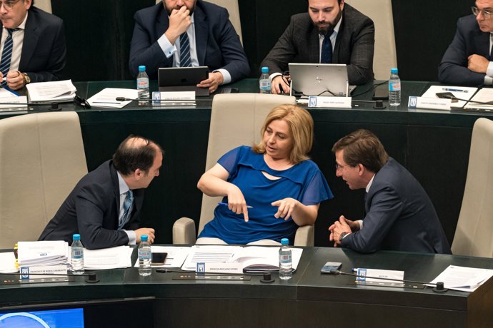Carabante, Inma Sanz y José Luis Martínez-Almeida, en el Pleno de Cibeles