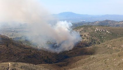 Els Bombers treballen en un incendi forestal al coll de l'Alba de Tortosa