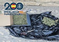 Dos detenidos en Granada al ser sorprendidos cortando cogollos de marihuana en la calle