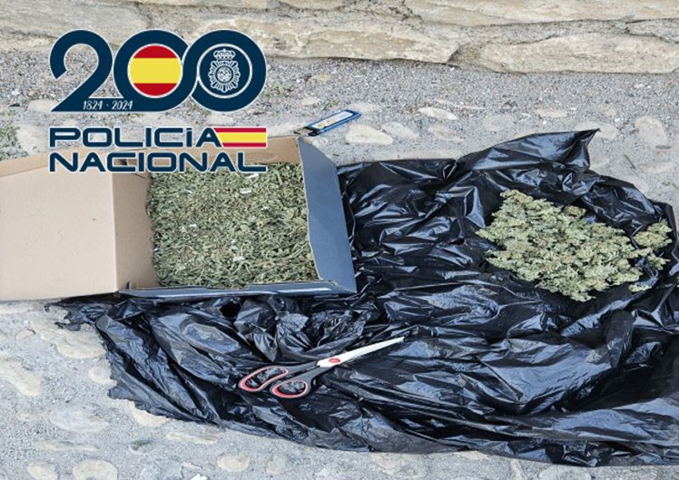 Marihuana en caja de zapatos.