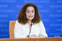 Nieto pide "reflexión profunda" sobre Ley de Incompatibilidades y avala si Junta asume coste de demorar vuelta a privada