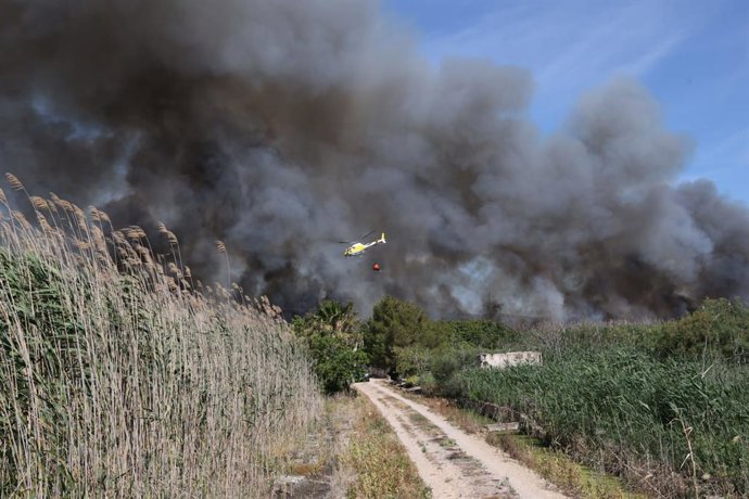 Medios de la Conselleria de Agricultura, el 112 y los Bomberos de Mallorca trabajan sobre el terreno en el incendio forestal en s'Albufera