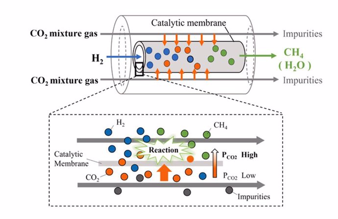 Esquema del reactor de membrana tipo distribuidor para captura de CO2.