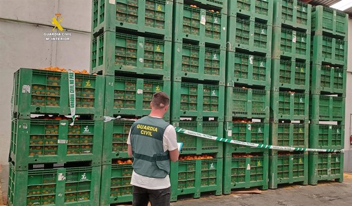 Detenidas 4 personas por sustraer cítricos en un campo de Almenara y otras 2 por comprarlos