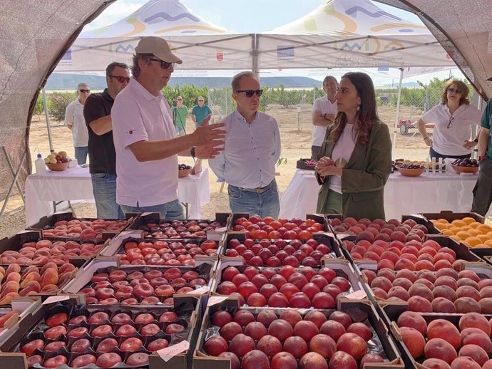 La consejera Sara Rubira en la visita a la finca experimental Frutimida donde se han desarrollado las nuevas variedades de fruta de hueso del programa de mejora genética del Imida