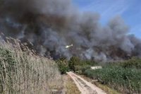 Desalojan preventivamente una decena de casas cerca del incendio de S'Albufera, complicado por el viento
