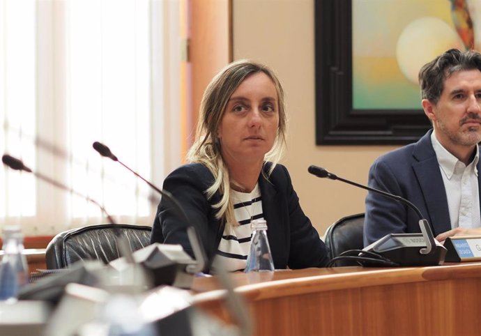 Archivo - La diputada del PSdeG Paloma Castro durante una intervención en Comisión en el Parlamento gallego