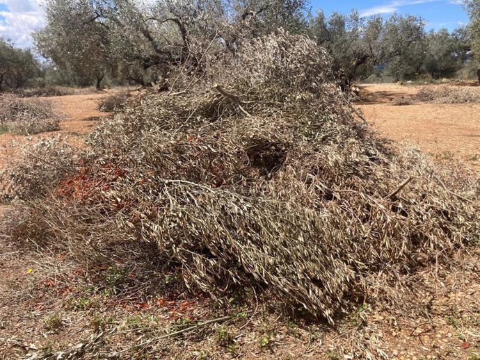 Quemas agrícolas