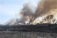 Estabilizado el incendio forestal de s'Albufera tras quemar 50,4 hectáreas de cañizo