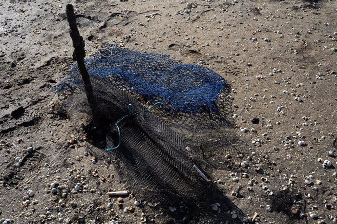 Archivo - Una red de pescado en la ensenada de San Simón, Rías Baixas, a 17 de noviembre de 2023, Pontevedra, Galicia (España). La mortandad del marisco se extiende por las rías gallegas tras un mes de tormentas y aperturas de presas que provocan un aumen