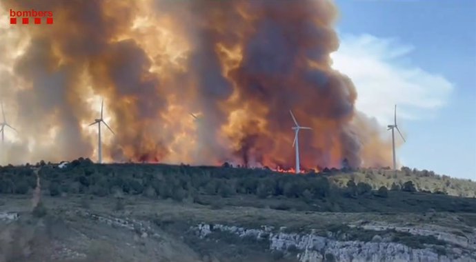 L'incendi del coll de l'Alba de Tortosa (Tarragona) 