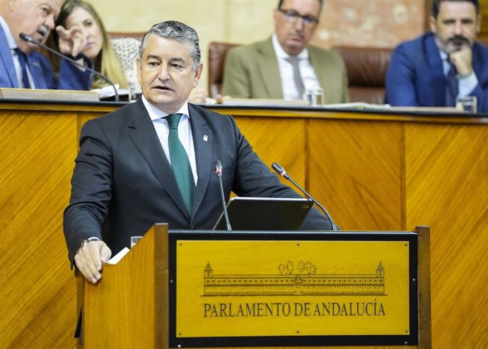 El consejero de la Presidencia, Interior, Diálogo Social y Simplificación Administrativa, Antonio Sanz, en el Pleno del Parlamento.