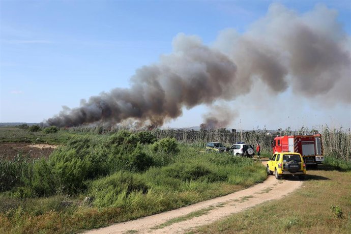 Un coche de incendios forestales y un camión de bomberos acuden a la zona afectada por un incendio, a 28 de mayo de 2024, en s'Albufera, Mallorca, Baleares (España). 