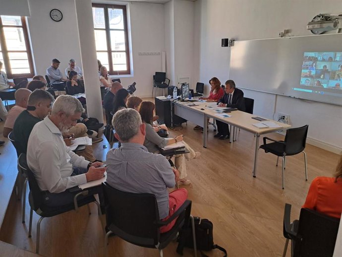 El conseller de Educación y Universidades, Antoni Vera, comparece en el pleno del Consejo Escolar de Baleares.